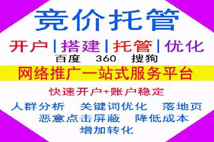 SEM搜索引擎优化案例：如何提升网站流量和转化率